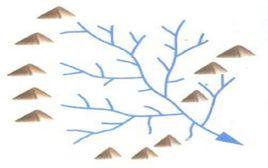 樹枝狀水系 樹枝狀水系