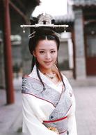 秦始皇[2001年張豐毅主演電視劇]