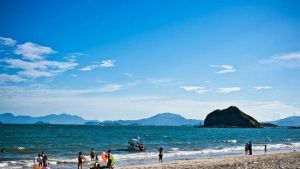 熊貓金海岸 熊貓金海岸