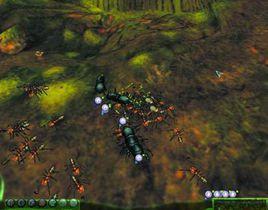 螞蟻帝國[電腦遊戲]