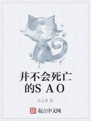 並不會死亡的SAO 並不會死亡的SAO
