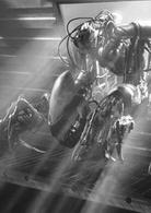 殺神十號[1994年日本 - 英國電影]