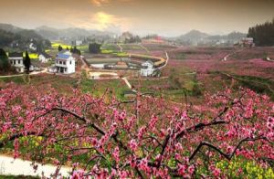 趙家廟村 趙家廟村