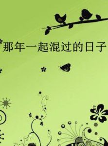 那年一起混過的日子 那年一起混過的日子