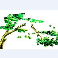 颱風[氣象學名詞]