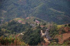 鯉魚山[台灣台東山峰]