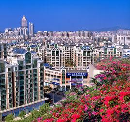 龍城街道[廣東省深圳市龍崗區龍城街道]