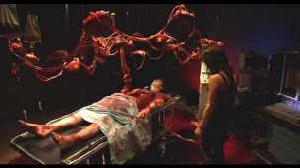 血肉之花 血肉之花