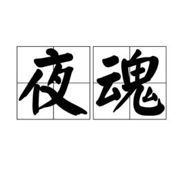 夜魂[漢語詞典意思]