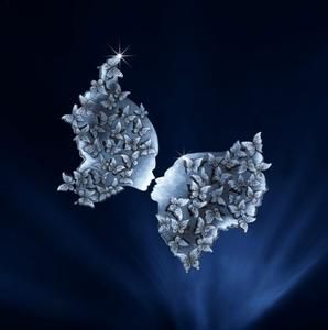 冠軍鑽石 冠軍鑽石