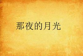 那夜的月光