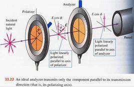 馬呂斯定律 馬呂斯定律