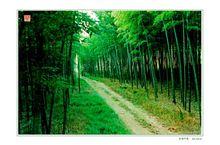 秋湖村[江蘇省溧水縣永陽鎮下轄村]