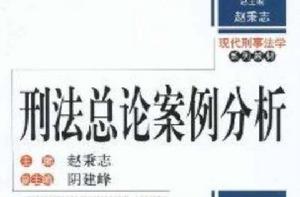 現代刑事法學系列教材·刑法總論案例分析 現代刑事法學系列教材·刑法總論案例分析