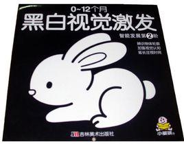 黑白、彩色視覺激發 黑白、彩色視覺激發