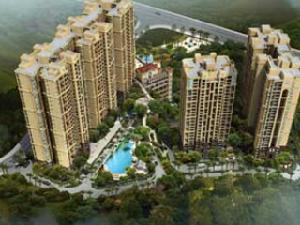 金海花溪谷 金海花溪谷