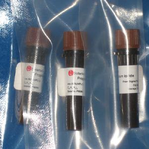 （圖）羅丹明B調料