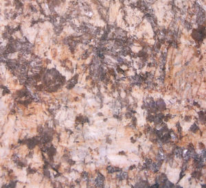 波沙金 | Golden Persa |