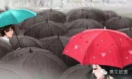 在人海茫茫中 在人海茫茫中