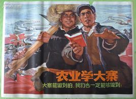 農業學大寨始末 農業學大寨始末