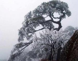 送客之江西 送客之江西