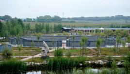 千名將軍墨寶八卦陣 千名將軍墨寶八卦陣