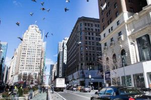 先驅廣場 先驅廣場