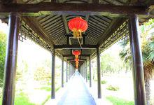 大縱湖清風閣高清組圖