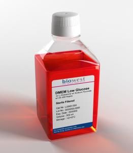 DMEM