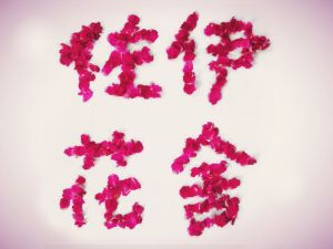 佐伊花舍 佐伊花舍