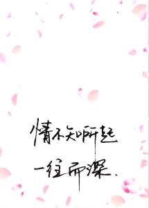 一往而深 一往而深