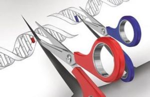 基因編輯技術 基因編輯技術