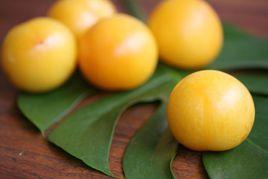 美國杏李風味皇后 美國杏李風味皇后