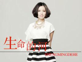生命的河[姚貝娜演唱歌曲]