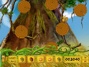 松鼠吃榛果 松鼠吃榛果