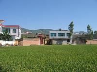 上墩子村 上墩子村