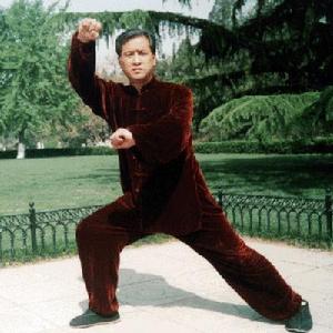 武式太極拳推手