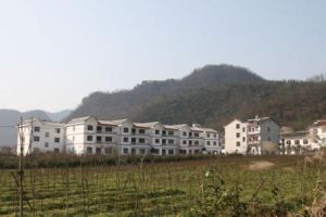 白岩坪村 白岩坪村