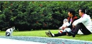 富上代希望和子女在一起