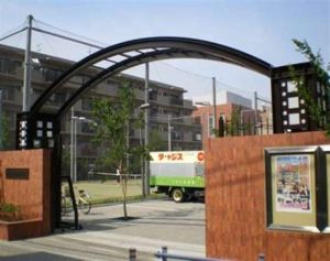 日本星槎大學 日本星槎大學