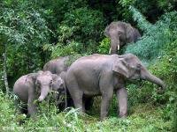 Xishuangbanna Dai Autonomous Prefecture