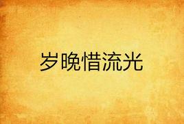 歲晚惜流光 歲晚惜流光