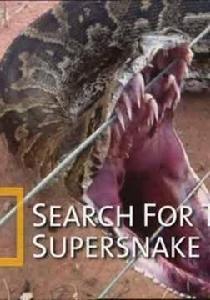 超級大蛇 超級大蛇