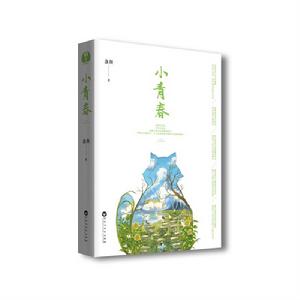 小青春[盞顏2017年小說]
