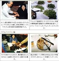 國際自然醫學會 國際自然醫學會