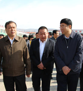 省人大常委副主任馬青林、市委書記張令平