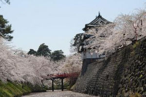 弘前大學 弘前大學