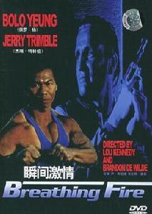 瞬間激情 瞬間激情