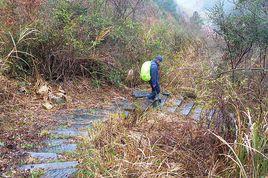 婺源五嶺 婺源五嶺