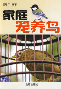 《家庭籠養鳥》 《家庭籠養鳥》